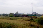 Tem2-253