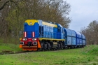 TEM2-271