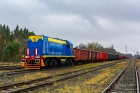TEM2-271
