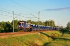 TEM2-193