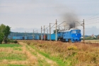 BR232-561