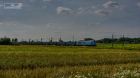 LUDMIŁA