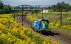 SM42-1300