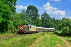 SM42-1031