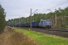 SM42-2431