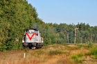 SM42-2453