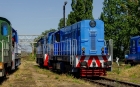 T448p-036