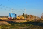 T448p-036