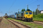 Class 66005