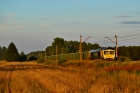 JT42CWR-66014