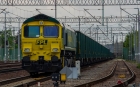 66018