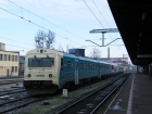 MRD-4239