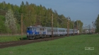 KIBICE