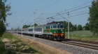 USTRZELONA...