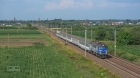 ZA ŻMIGRODEM 1