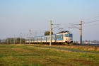 242 228-0