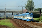 Żaba