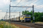 753 736-6
