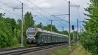 LEOŚ