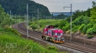 PINK PANTER PINK PANTER
