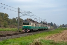 EM488 0079/0080 EM488 0079/0080
