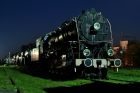 Ty246-22
