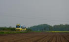 SA137-003 SA137-003