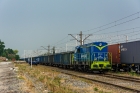 SM31-101