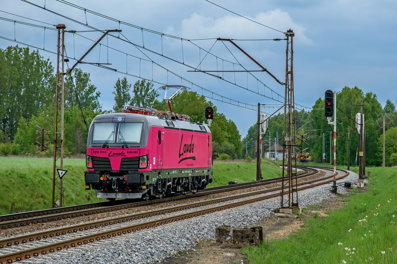 6193 557