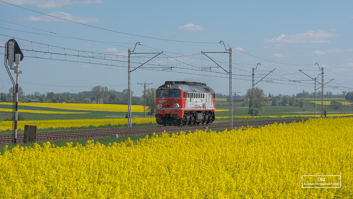 ORLEN W RZEPAKU