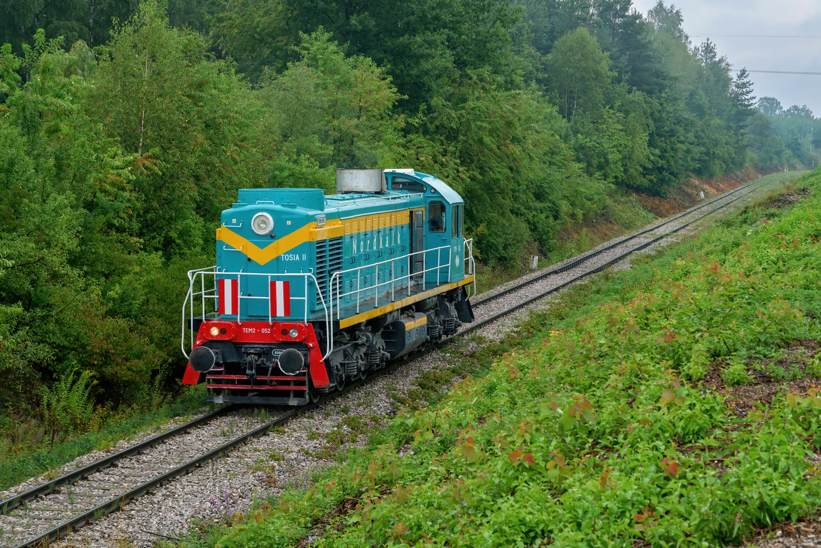 TEM2-052