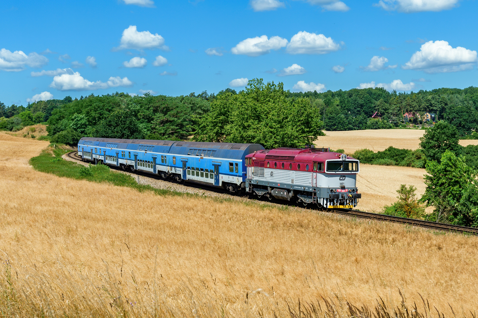 754 061-9