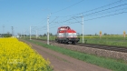 6dh-1-023