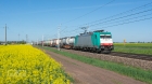 E186 WIOSENNIE