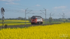 ORLEN W RZEPAKU