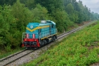 TEM2-052