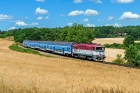 754 061-9